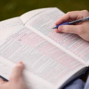 KJV Holy Bible Pink, Standard Size Faux Leather Red Letter Edition Thumb Index & Ribbon Marker, King James Version, Pink (KJV Deluxe Gift Editions)