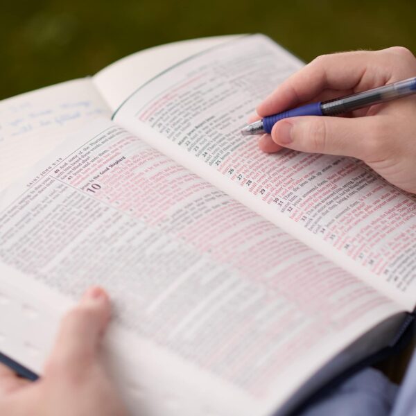 KJV Holy Bible Pink, Standard Size Faux Leather Red Letter Edition Thumb Index & Ribbon Marker, King James Version, Pink (KJV Deluxe Gift Editions)